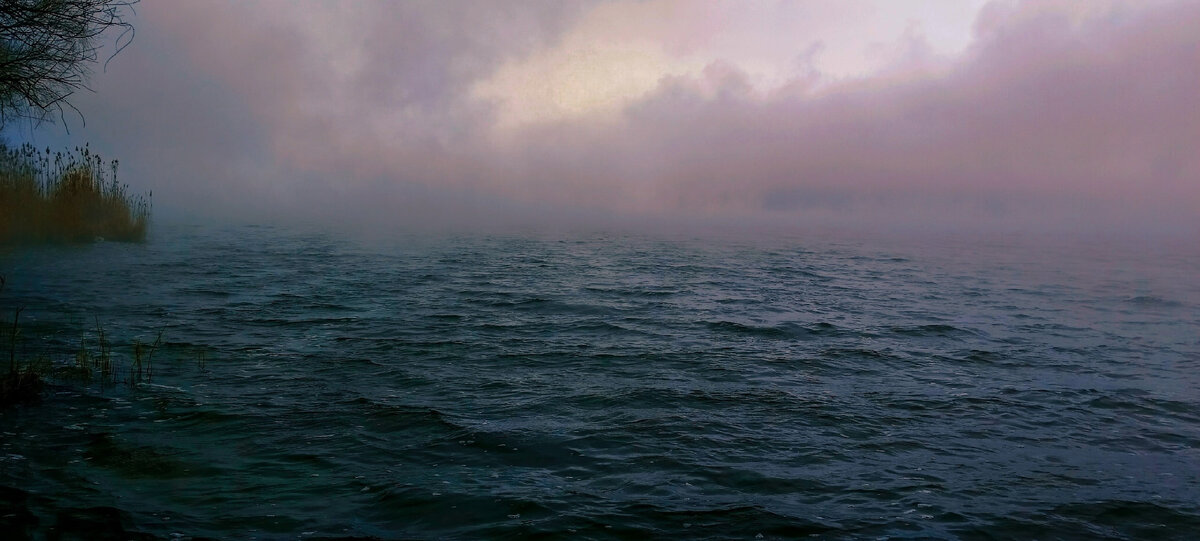 Тилапия | Рыбалка Черноземье | Дзен