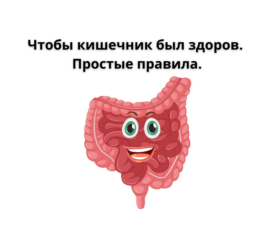 Чтобы кишечник был здоров. Простые правила. | Диетолог Александра ...