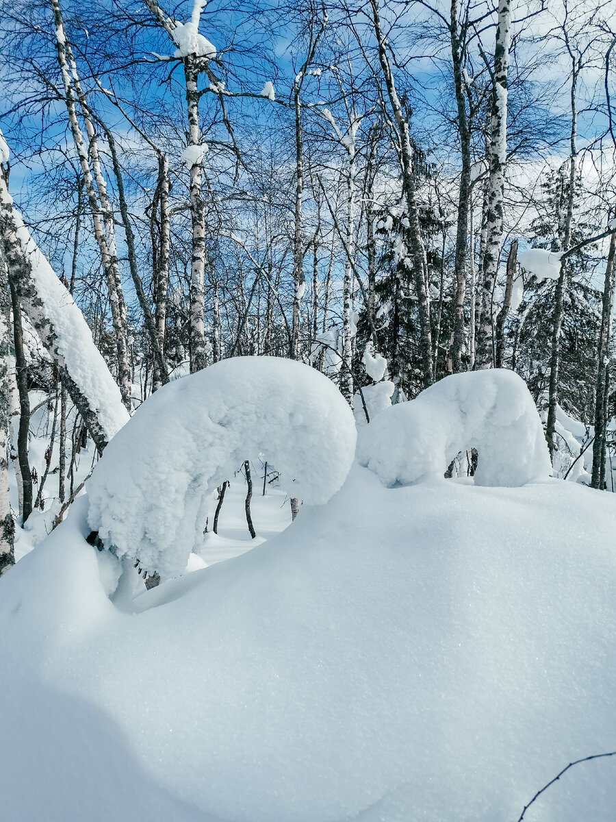 Елочки маскируются