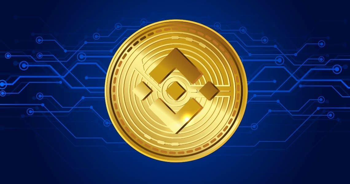 Binance Coin (BNB)