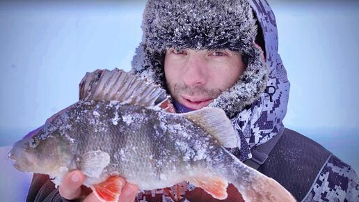 Зимняя рыбалка на окуня