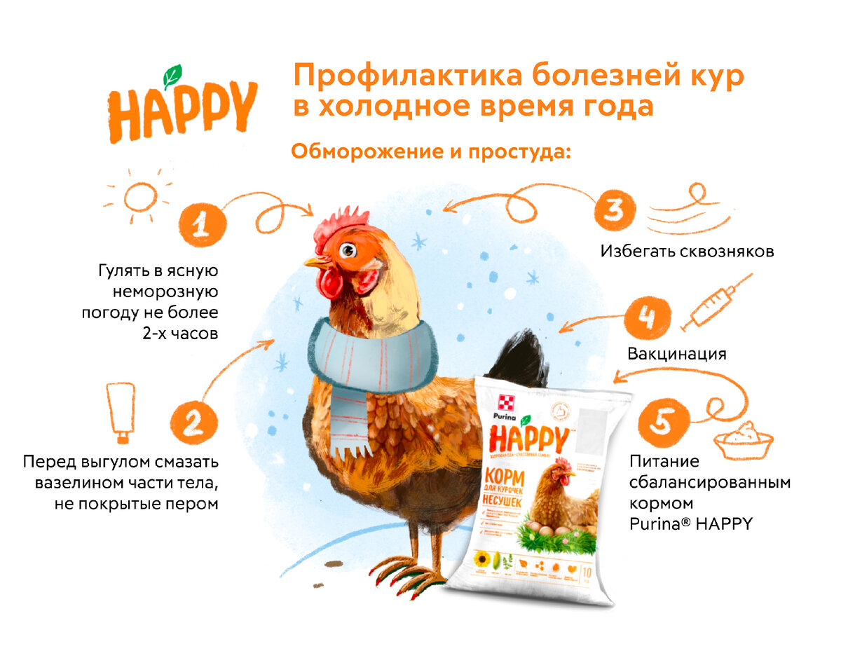 чем обработать сарай для курей от вшей и блох