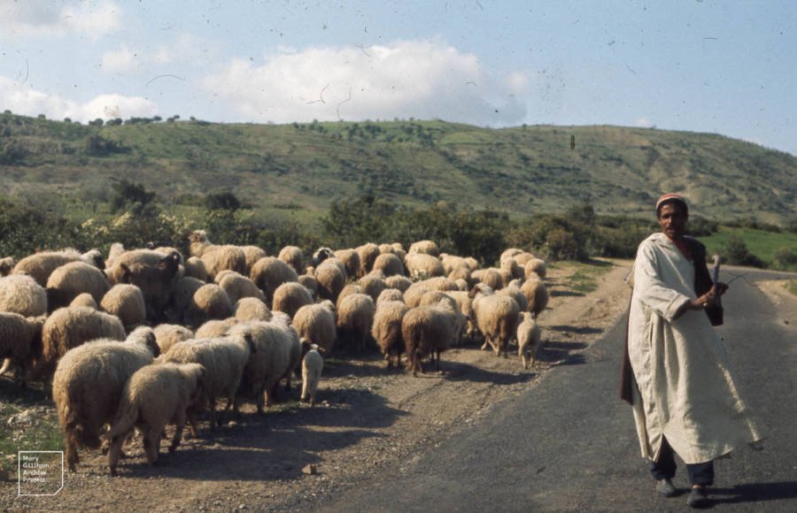 Источник фото: ru.9unknownfacts.com