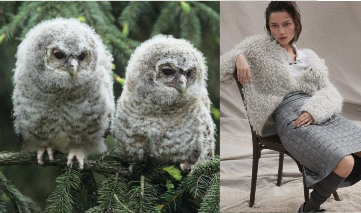 Слева: две девушки 48 размера в модных фактурных свитерах. Справа: как это было в каталоге. 