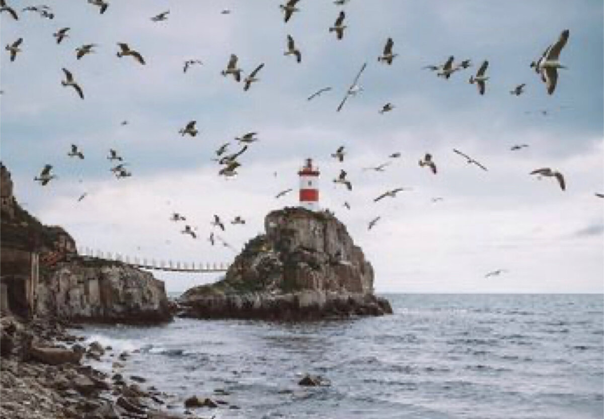 Источник pinterest