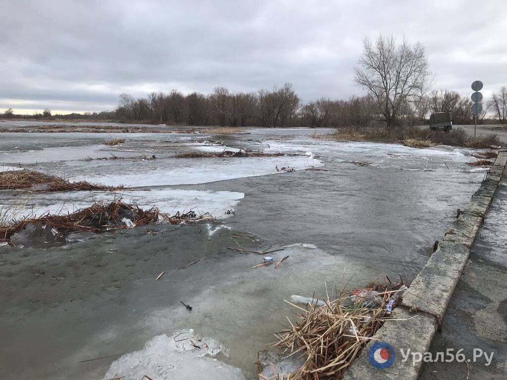 Уровень Урала уверенно растет в Оренбурге, Орске и до Ириклинского  водохранилища. Свежие данные о водоемах региона | Урал56.Ру | Оренбург, Орск  - главные новости | Дзен