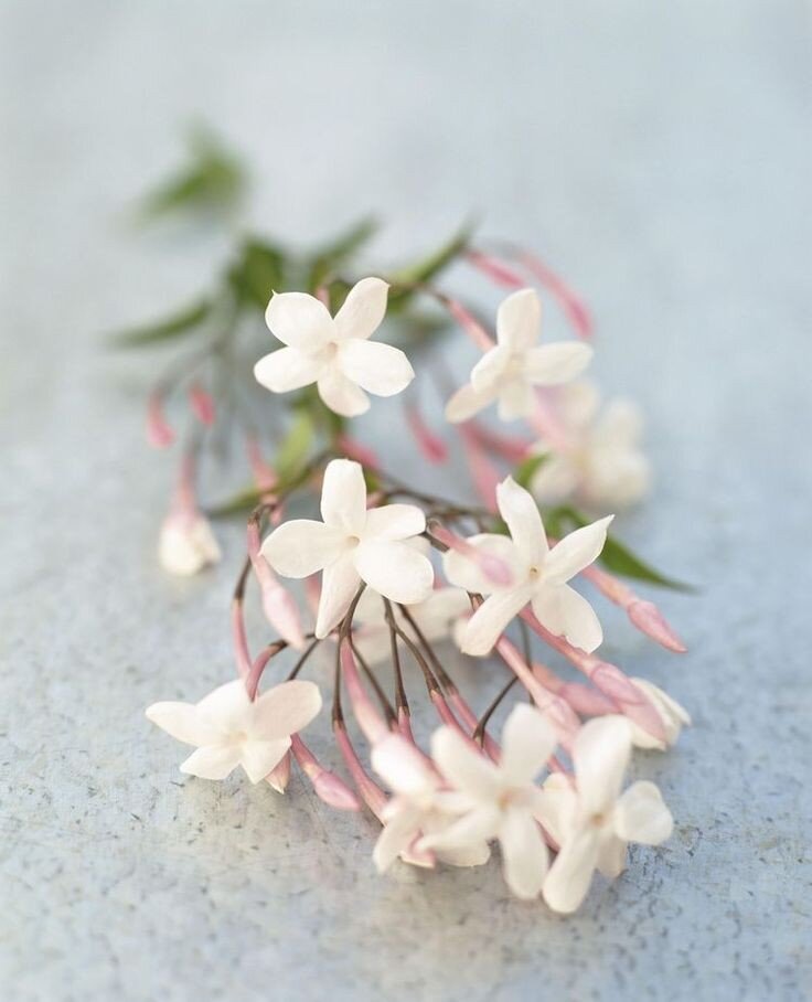 источник фото: Pinterest