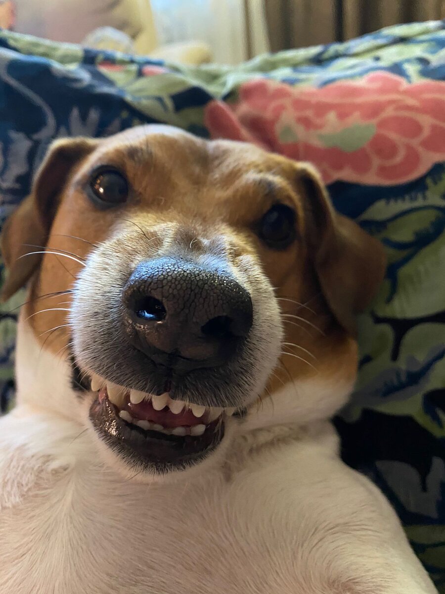 Улыбка должна быть постоянным спутником! 