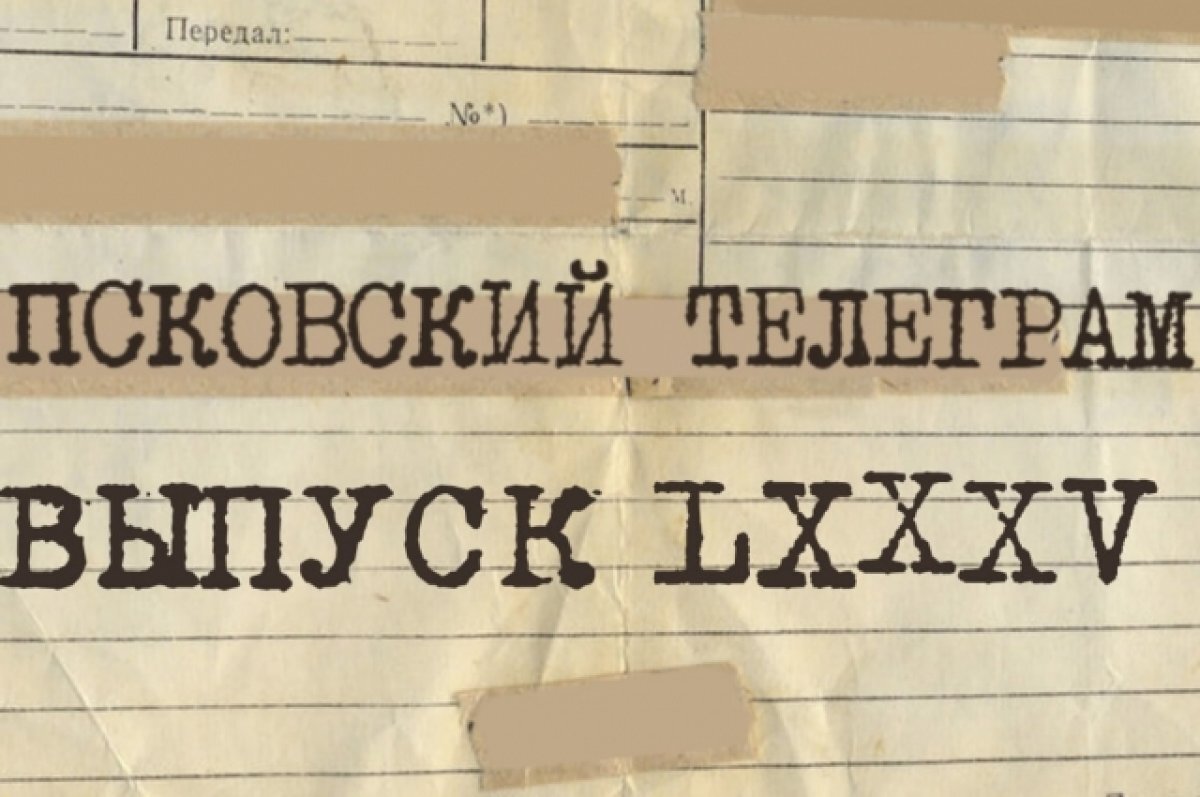    Непогоду обсудили в очередном выпуске «Псковского телеграма»