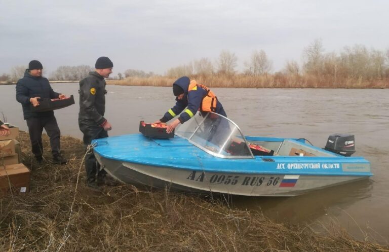    Спасатели Оренбуржья доставили продукты в отрезанные паводком села Кристина Просвиркина