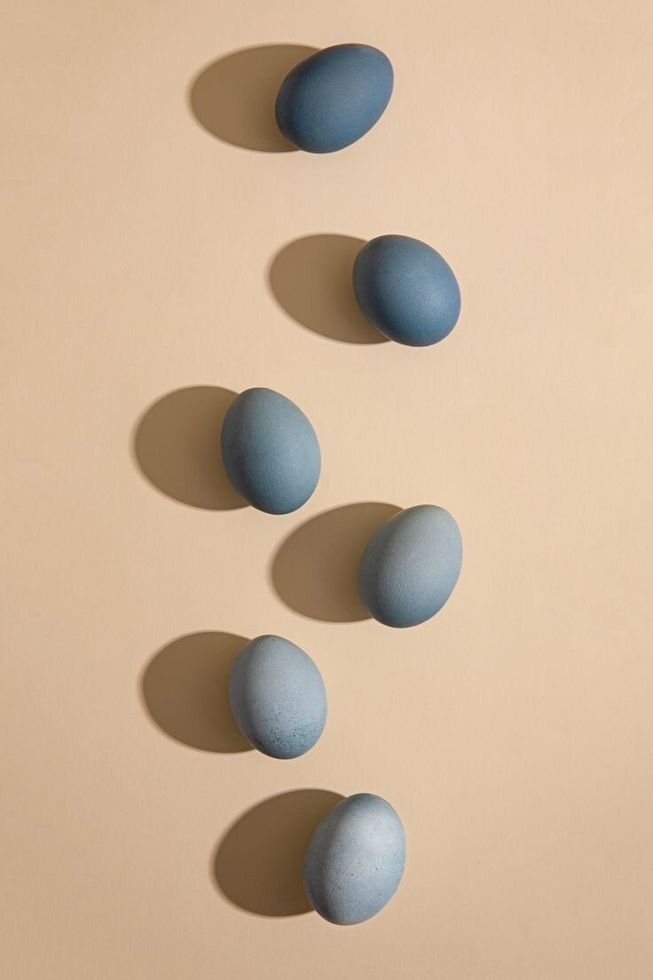 Фото из интернета 