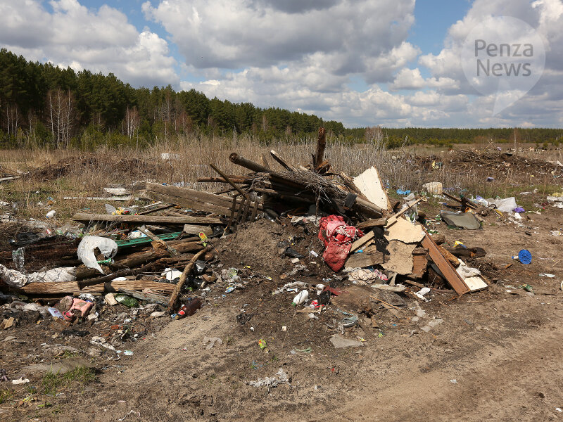    © Фото из архива ИА «PenzaNews»