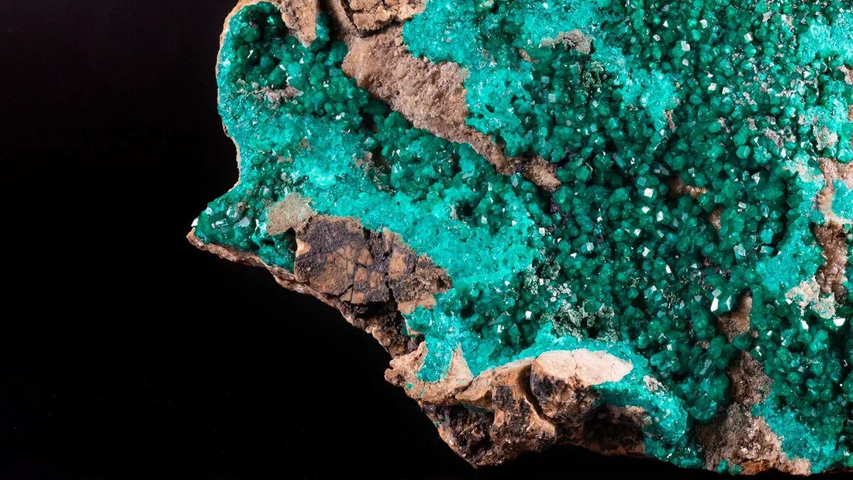 © Форпост Северо-Запад/Горный музей