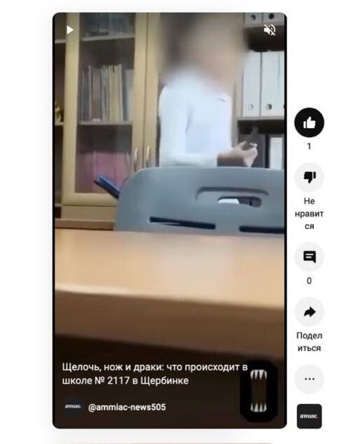 Кадр из видео из школы, видео можно посмотреть по ссылке 