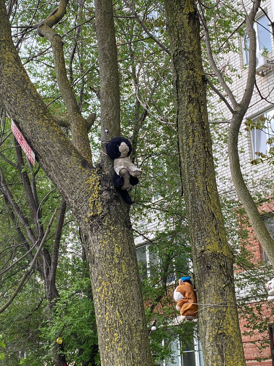 На мой взгляд жутковато