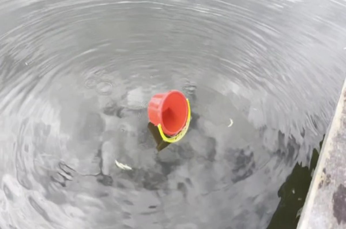    За четыре дня в Башкирии в воде утонули шесть человек