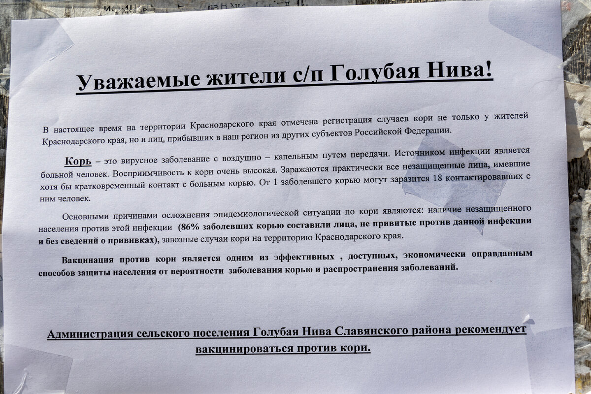 Посёлок Голубая Нива - последняя стройка СССР на Кубани | Южная жизнь | Дзен