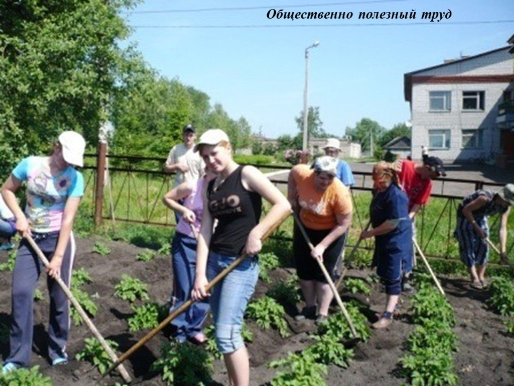 Общественно-полезный труд в школе. Занятия общественно-полезным трудом. Общественно полезный труд Обществознание.