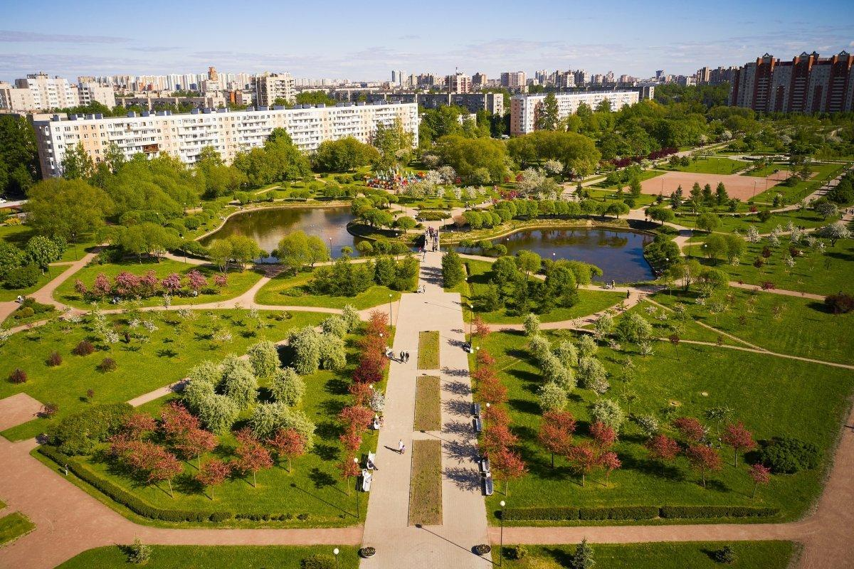 санкт петербург район купчино