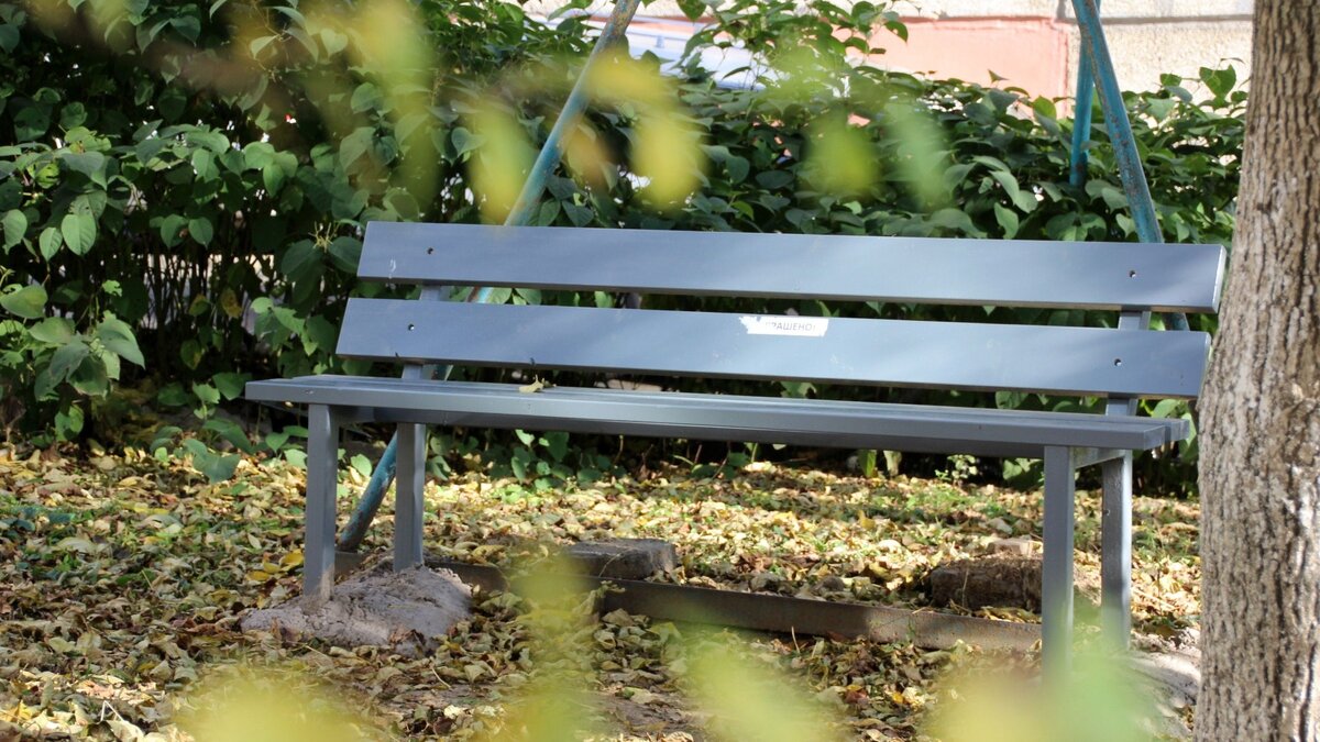     В соцсетях опубликовали фото опасных сорняков, которые были обнаружены во дворе одного из жилых домов Петрозаводска.