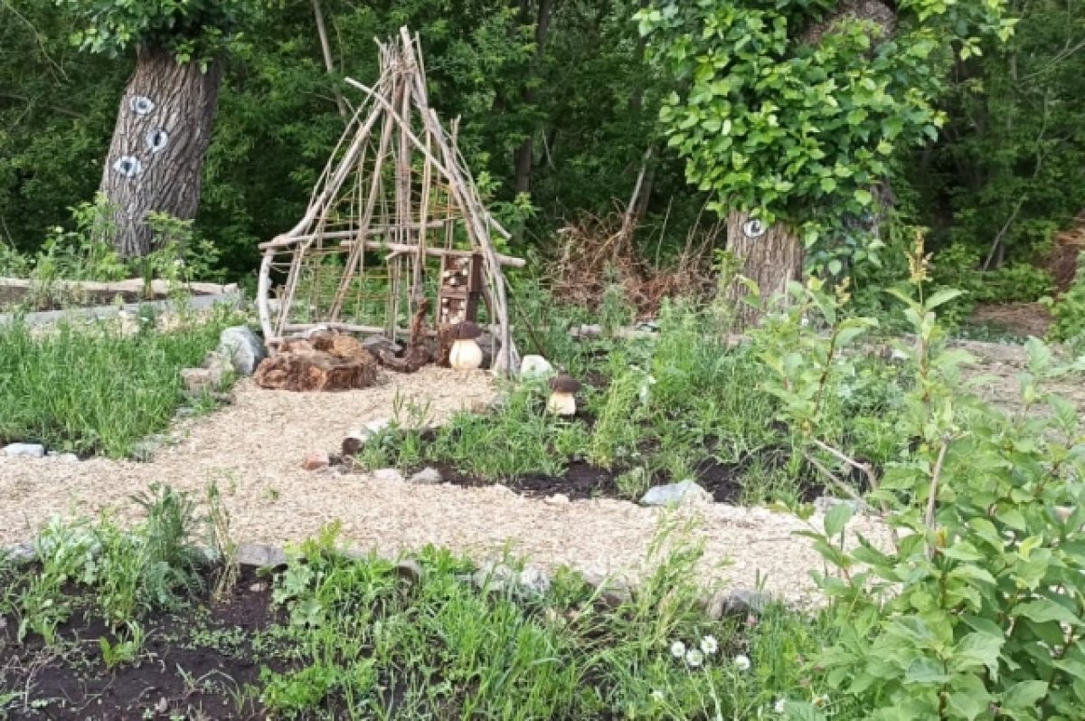    Экспериментальные цветники из уральских растений открылись для посетителей