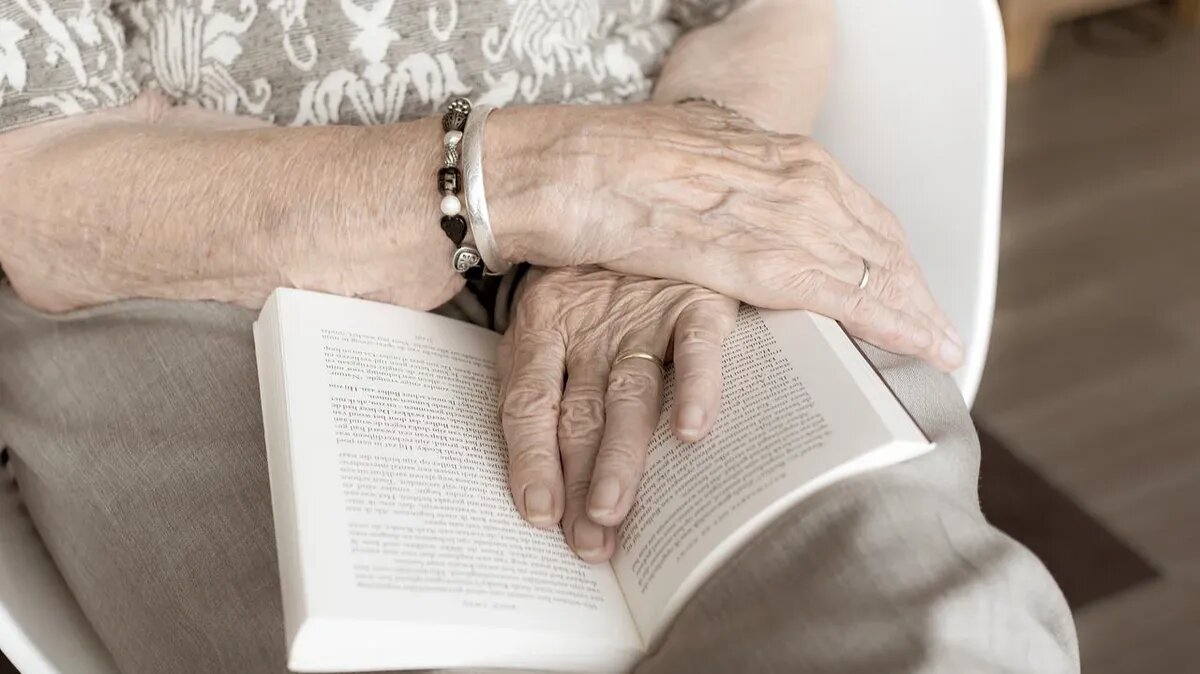 Фото: sabinevanerp // pixabay.com.