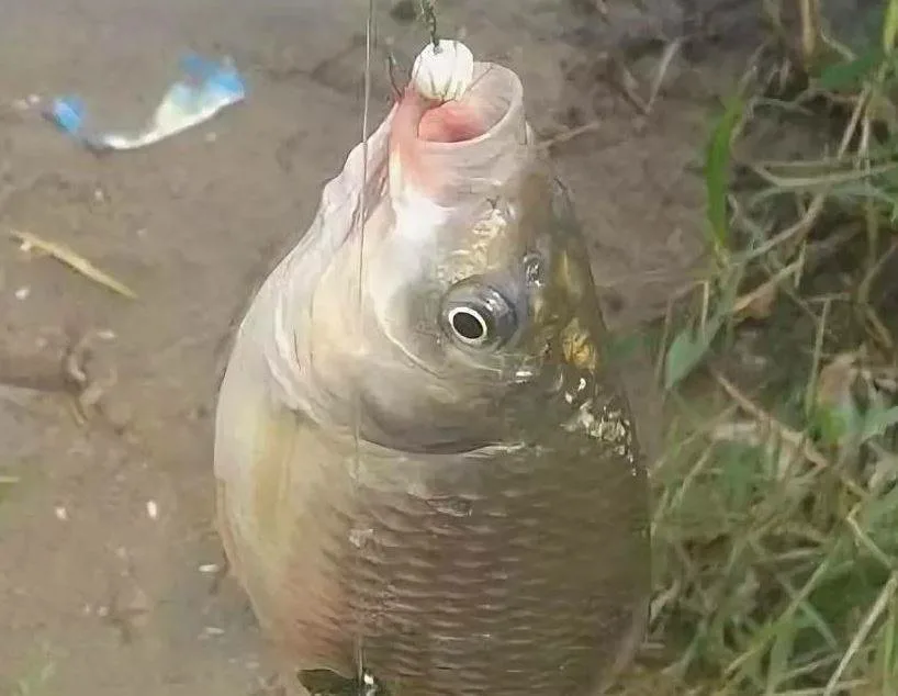 Фото: Яндекс.Картинки