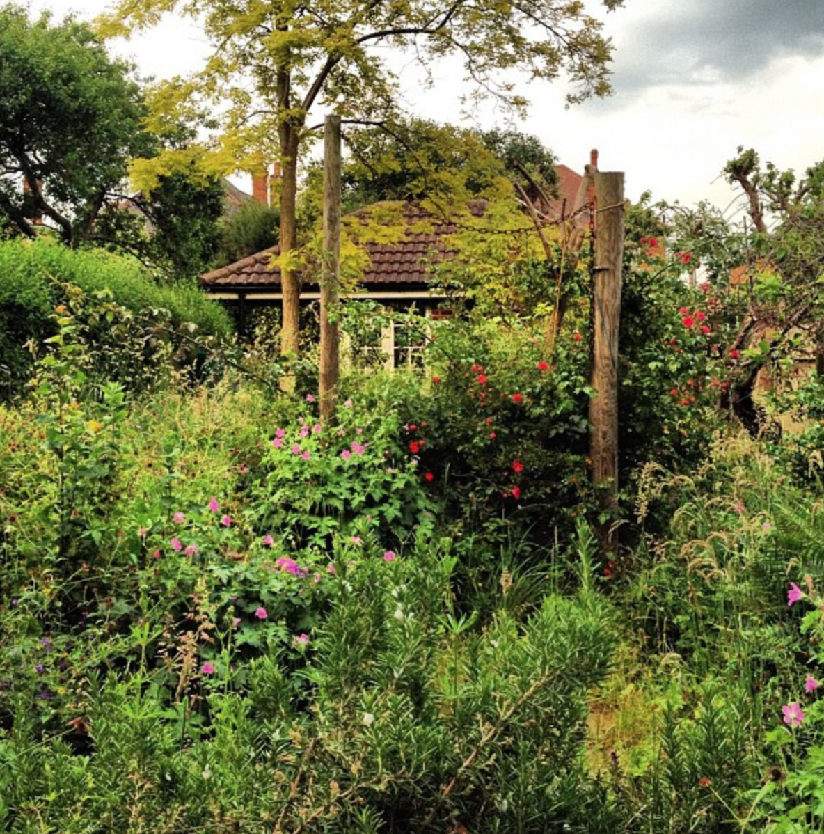 Источник: https://celes.club/uploads/posts/2022-04/1651254462_46-celes-club-p-zapushchennii-sad-priroda-krasivo-foto-59.png