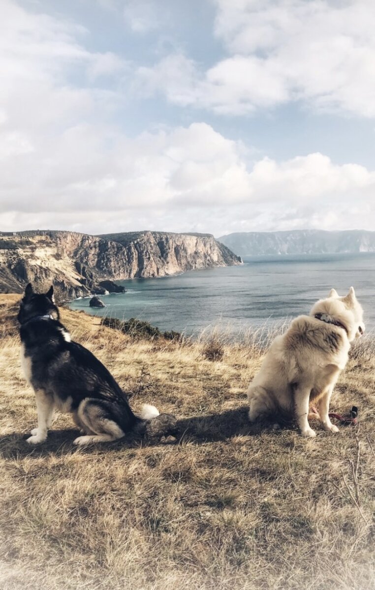 Хантер и Персей в Крыму