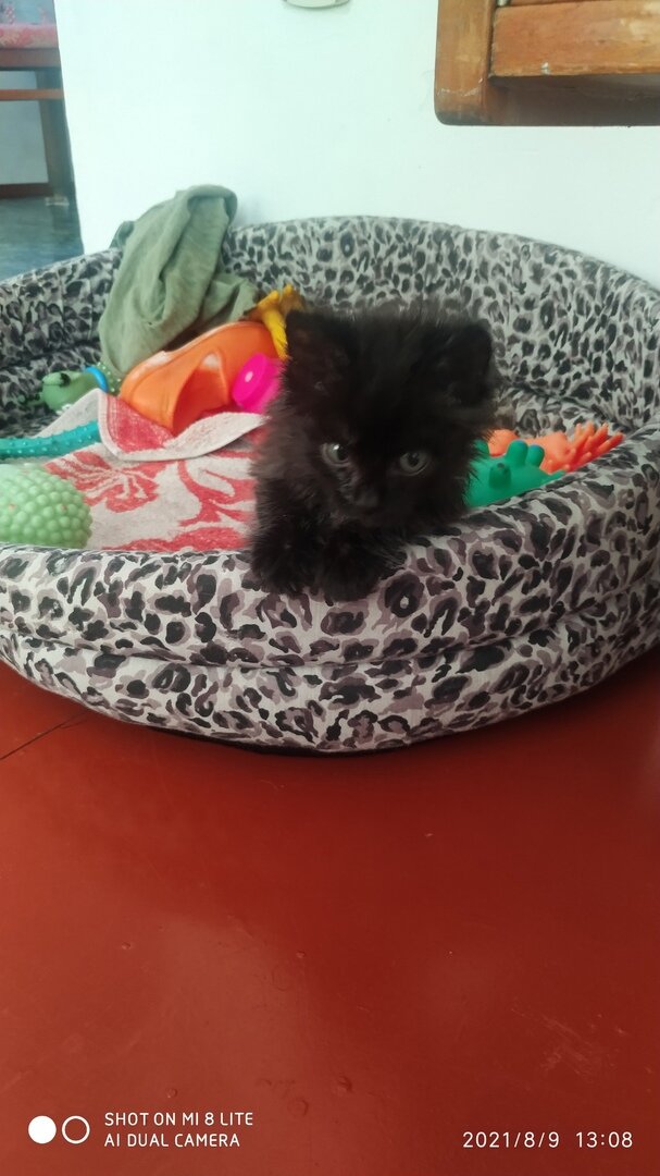 Какой игривый взгляд! Господи, помоги этому ребеночку!