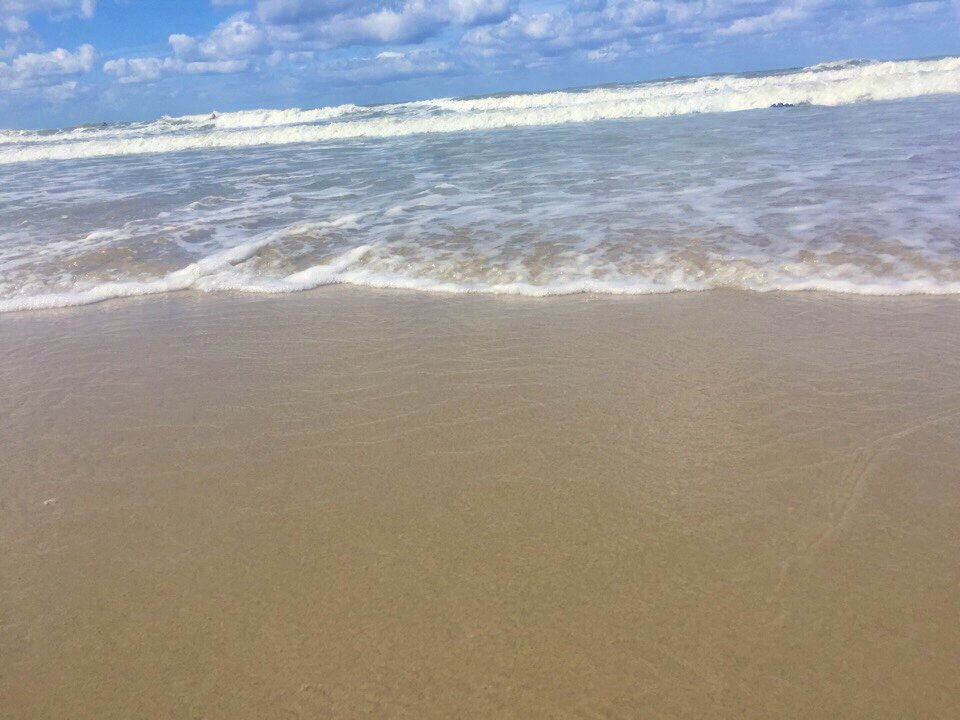 Жить на море мечта для многих (Фото автора канала)