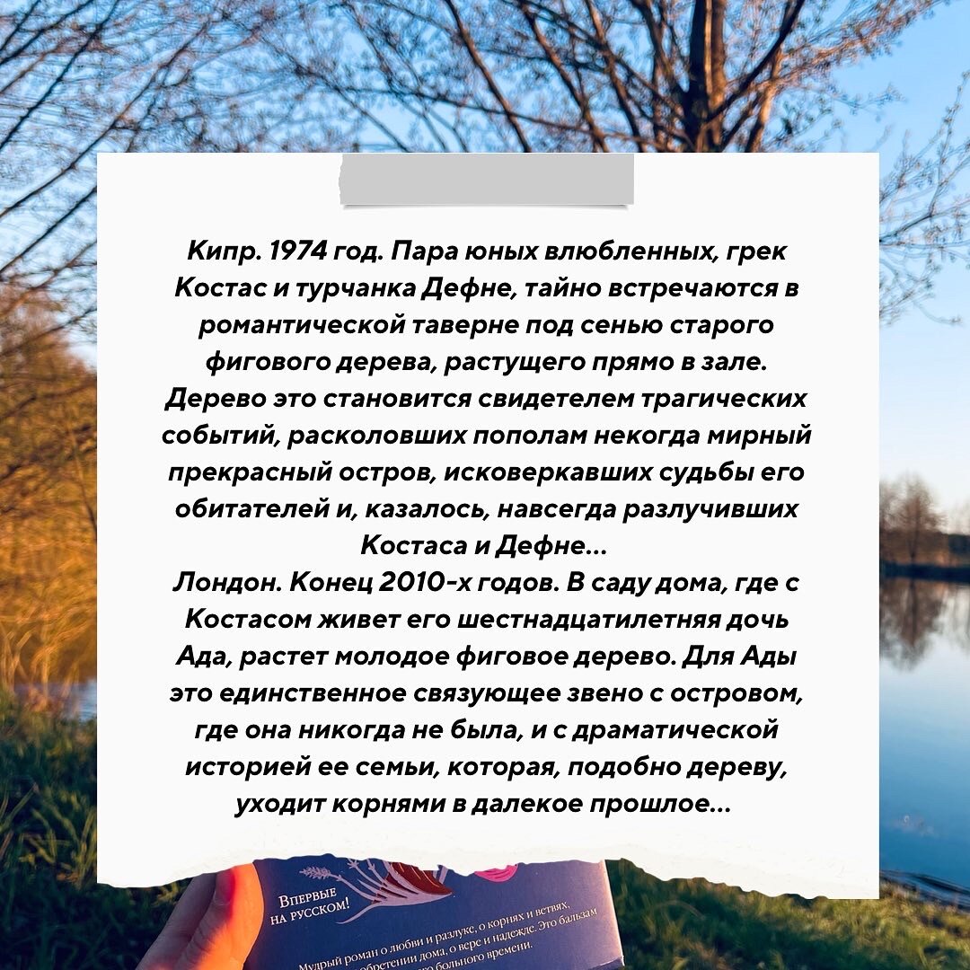 #книгиолюбви #элифшафак #островпропавшихдеревьев #кипр  