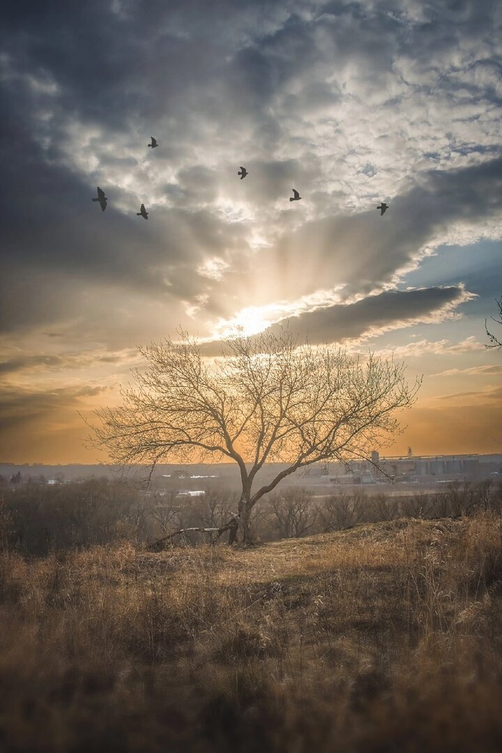 Висельная гора