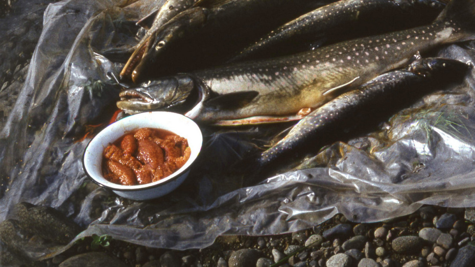   Автор фото: из архива