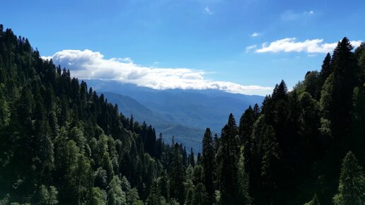 Россия. Сочи. Великолепный вид на горы 🏔️#путешествияпороссии #горыроссии #сочиотдых