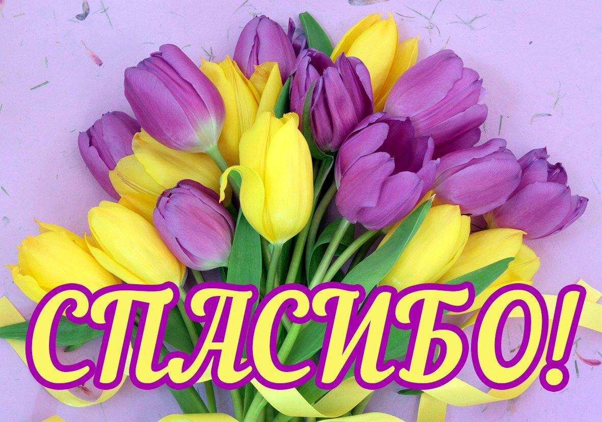 Фото  взято  с  просторов  интернета.