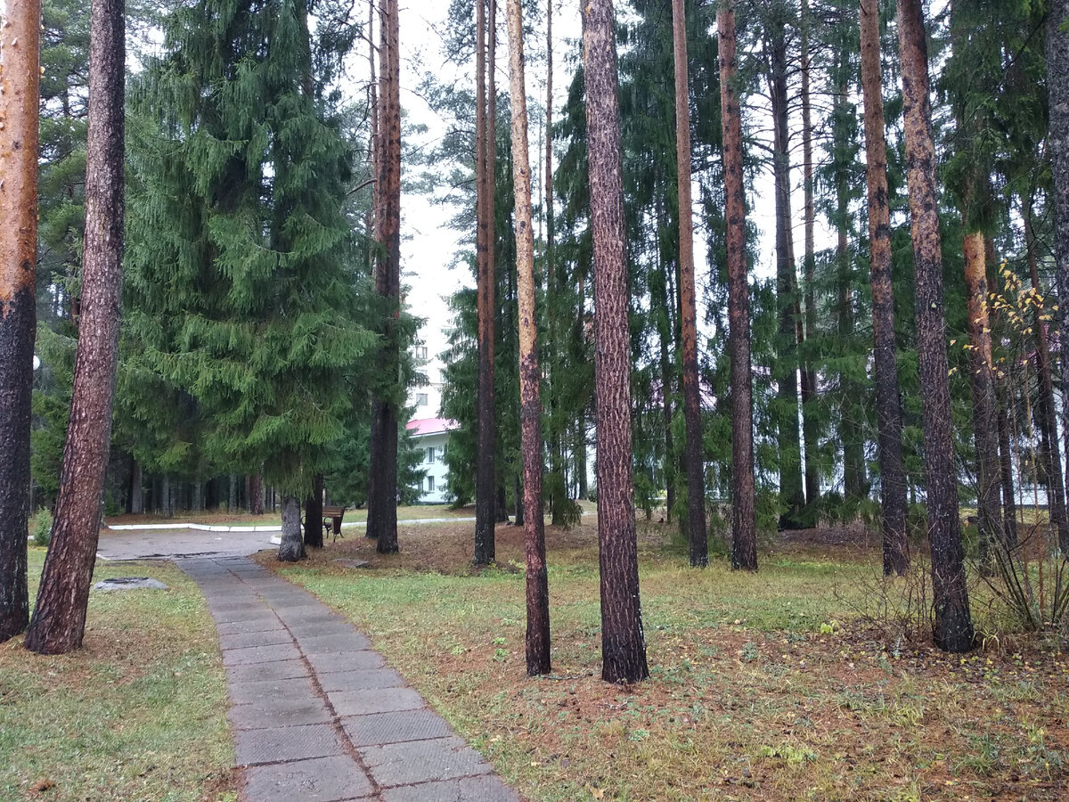 Кислород для организма.