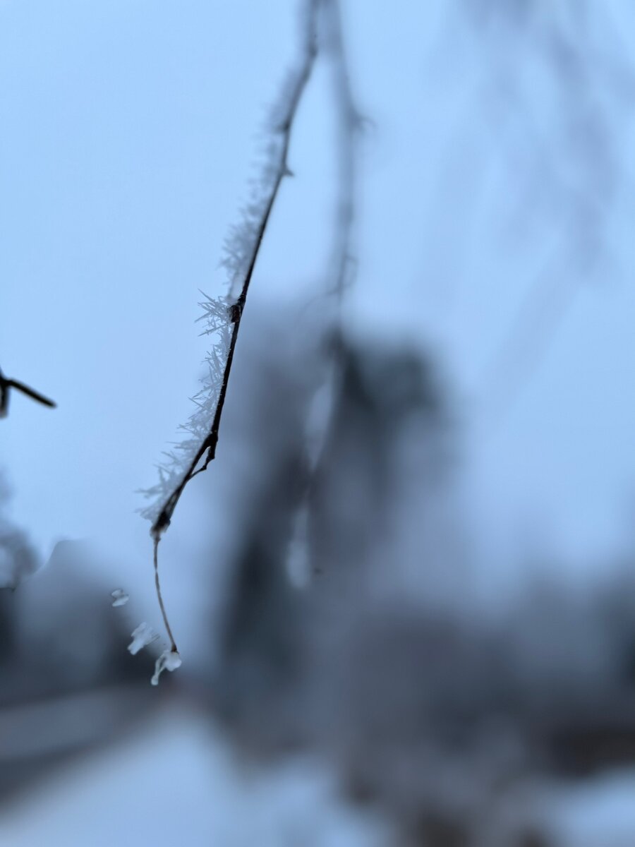 Фото еще зимнее) 