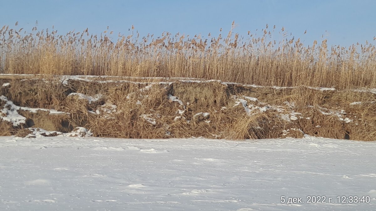 вода была по самый верх. обмелела за этот год сильно река и водохранилище