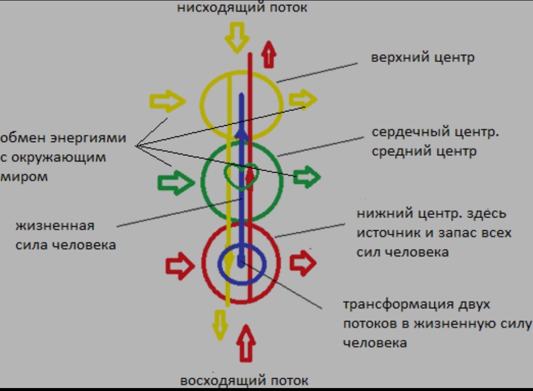 Прямой и обратный круг