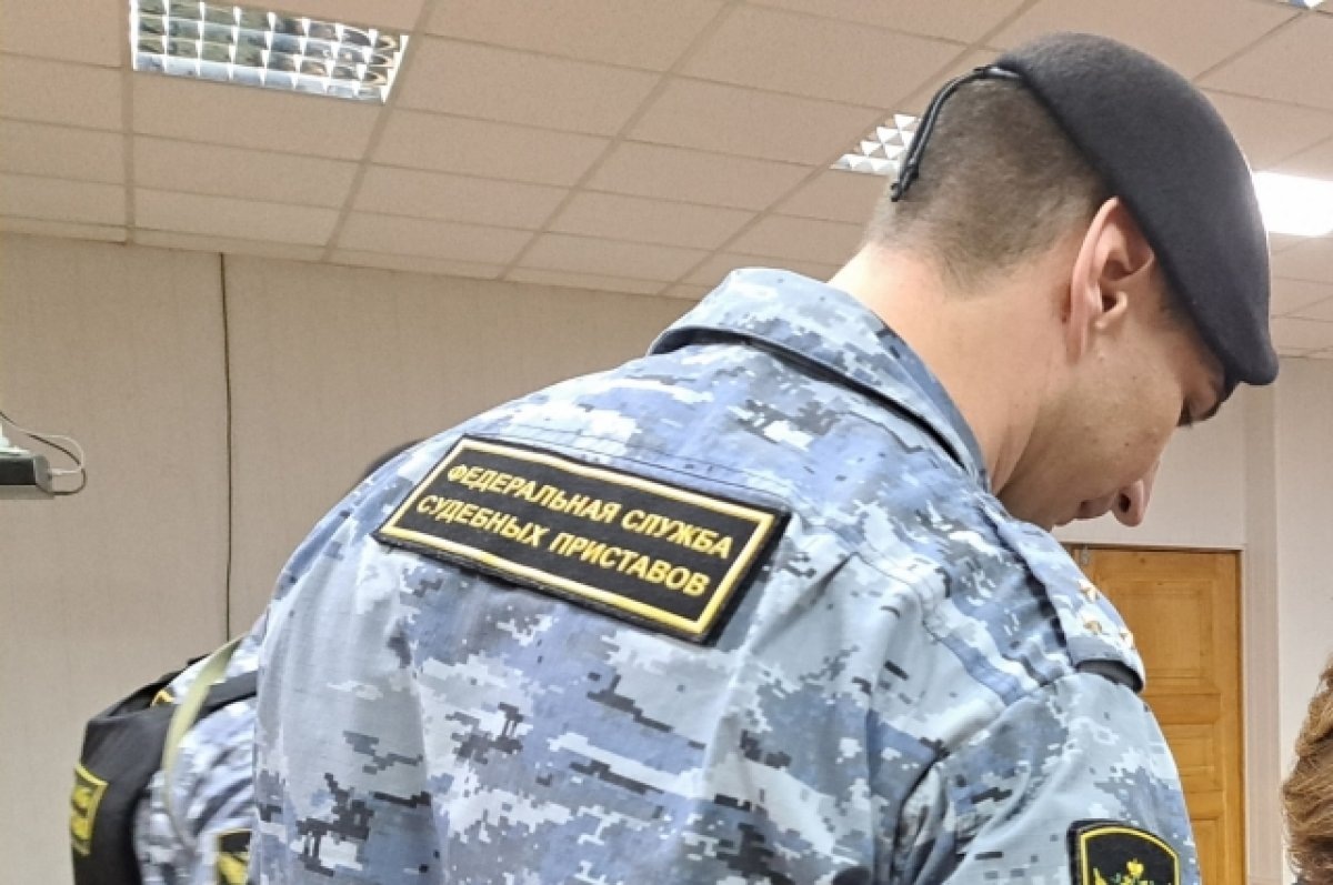    Злостная алиментщица из Армении отработает за долг 20 часов в Волгограде