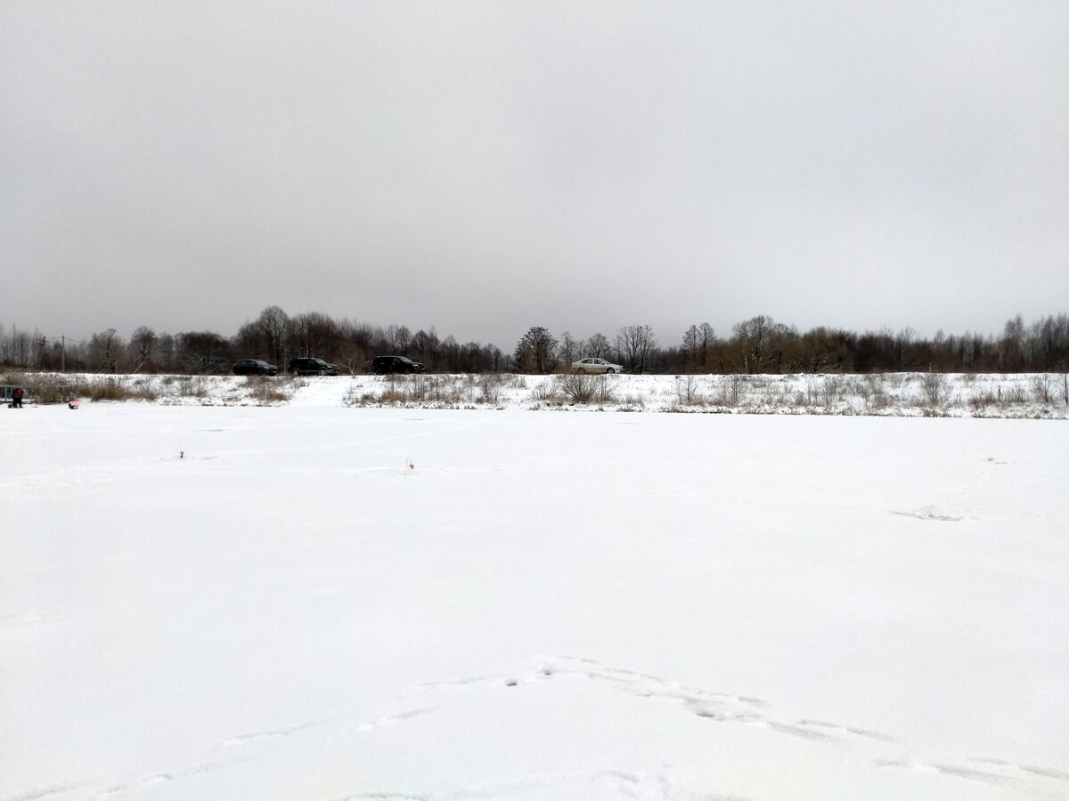 Стоит моя ласточка