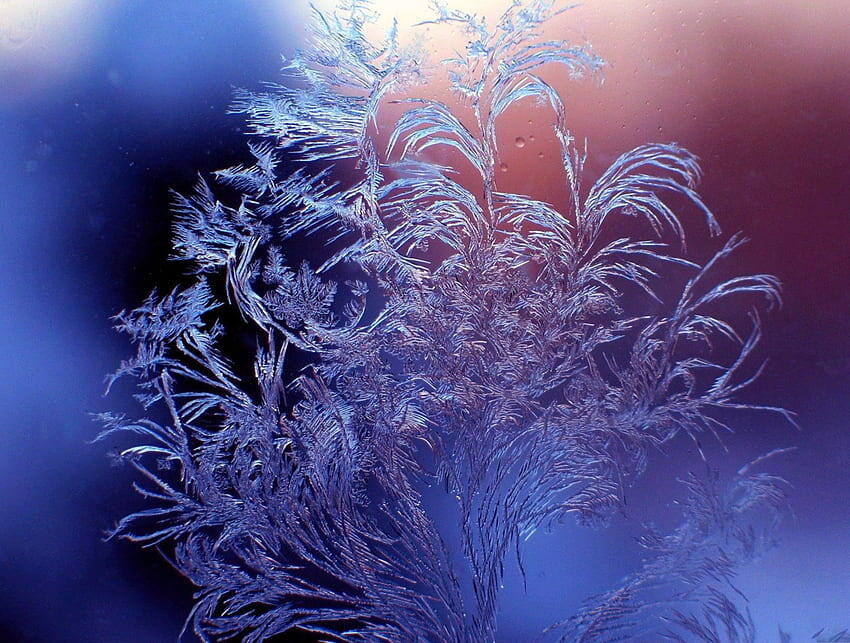 Фото www.pxfuel.com