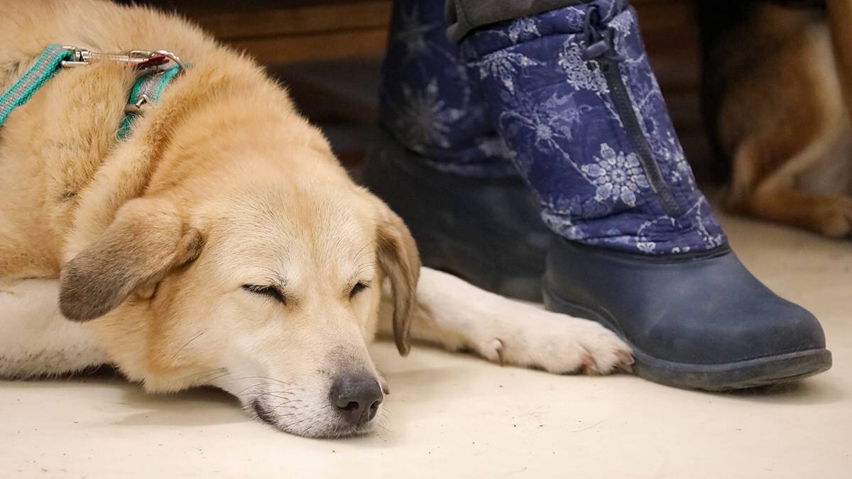    Фото: Софья Сандурская / АГН Москва