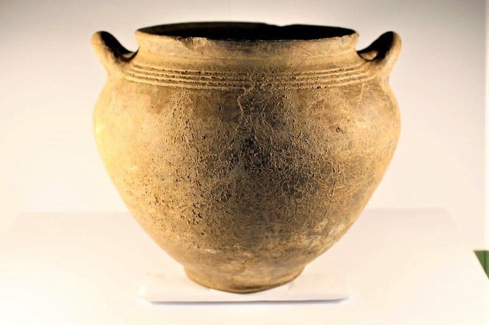     Захоронение обнаружили в станице Старомышастовской Фото: пресс-служба администрации Краснодарского края