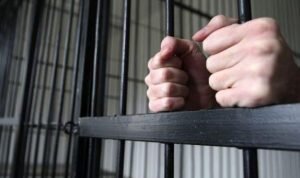    Фото: 31tv.ru Святослав Лавренко