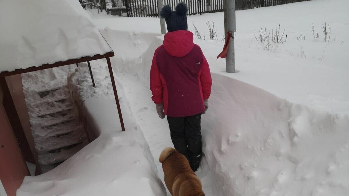     В тех школах Владивостока, которые работают на «шестидневке», в субботу объявлено свободное посещение. Такое решение приняла администрация Владивостока в связи с тем, что завтра в городе ещё будут ощущаться последствия снегопада.