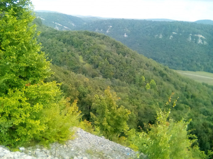 Кудрявая Башкирия