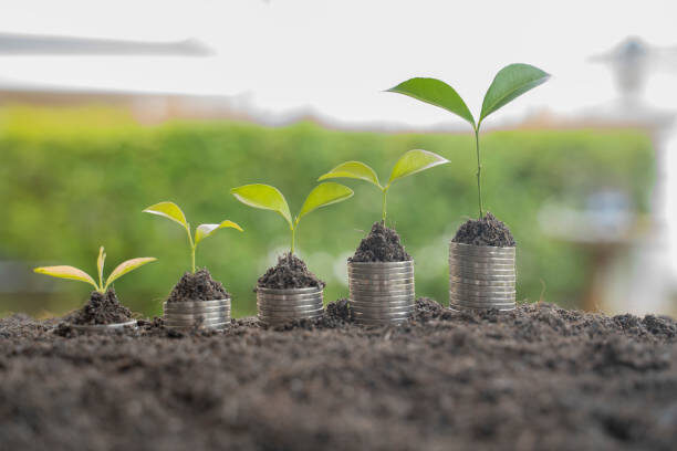 Фотография из открытых источников.