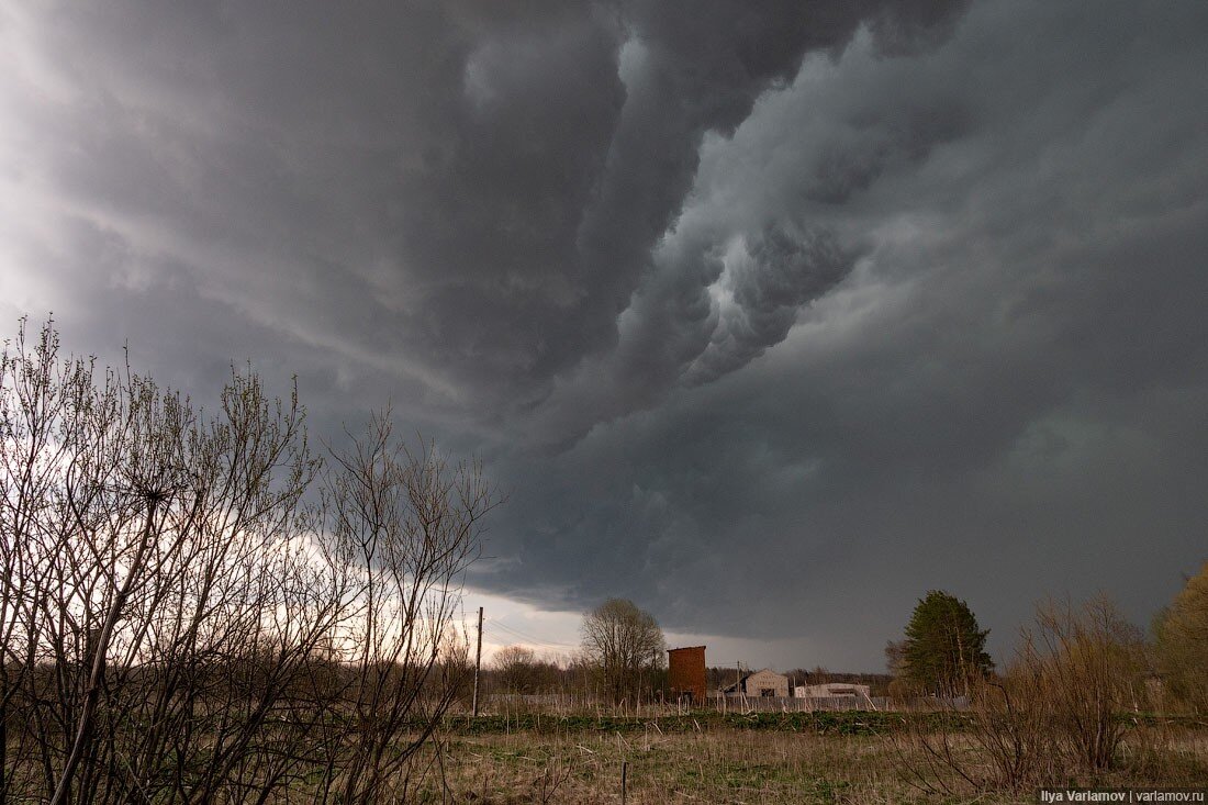 Варламов – гений | Илья Варламов | Дзен
